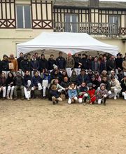 Haras du Cercle image 4