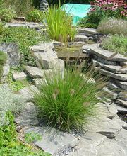 Bünter Gartenegestaltung und Pflege GmbH Bild 1