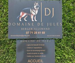 Domaine de Jules image 13