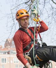 Alexander Grote baumrausch Bild 2