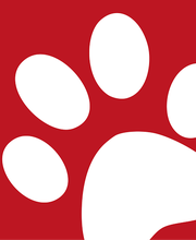 Tierarzt Celle, Tierärztliche Praxis an der Aller Bild 1