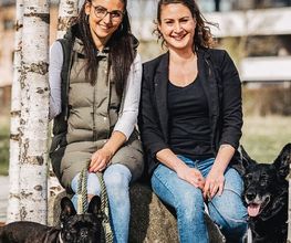 FITBUDDYS Tierheilpraxis & BARF-Shop Bild 13