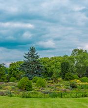 SARL PREVOST PAYSAGE image 1