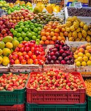 Utile NANS-LES-PINS image 4