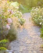 Frugiere Laurent image 1