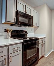 Elements of Madison Apartments image 18