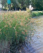 AquaTerra Solutions image 3