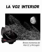 El volumen de una sombra imagen 4