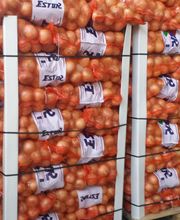 CEBESTUR,S.L. imagen 11