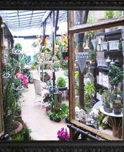 Delaveau Eric-pierre image 5