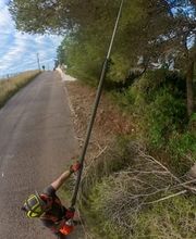 Sector Arbol imagen 5