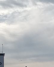 Mimoondo Palencia imagen 4