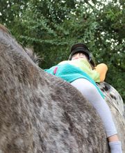 Espace d'équithérapie et d'équicoaching image 3