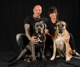 Tattoo Industry Bild 11