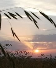 Künzi Bestattungsdienst GmbH Bild 1