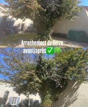 JPjardinier image 4