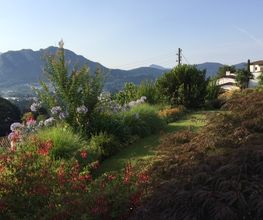 Art & Giardini Sagl Bild 9