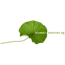 Blumen Maarsen AG