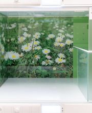 Tierarzt Schwerin, Kleintierzentrum Sieben Seen Schwerin Bild 2