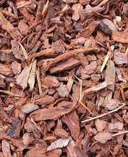 POINT JARDIN image 3