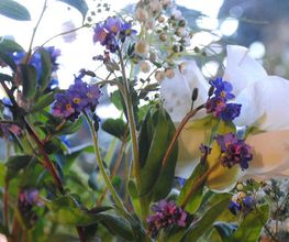 Blumenatelier Bergmann Bild 2