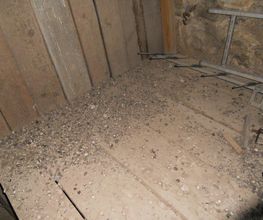 A4D Sanitation image 14