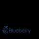 Blueberry IT