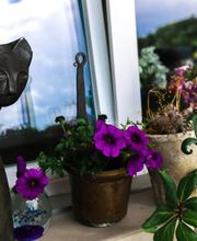 Alters- und Pflegeheim Sunneschyn Bild 1