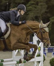 Escuela Hípica los Nogales imagen 12