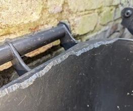 DETEK Schädlingsbekämpfung & Kammerjäger Bottrop - NRW Bild 7