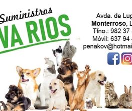 tarjeta.PNG
