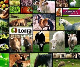 Lorra S. Coop. imagen 18