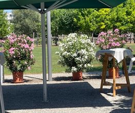 Restaurant Eulachpark Halle 710 Bild 5