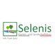 Selenis Garten -und Landschaftsbau
