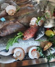 Gallery Professionale