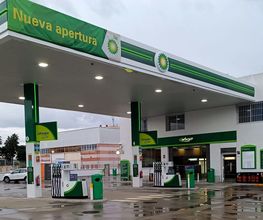 bp imagen 4