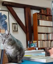 Le Livre à Venir image 6