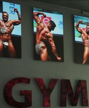 Gallery Cliente