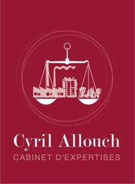Cyril Allouch - Expert Immobilier