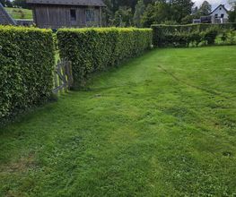 Eifel Cleaning Service Bild 1