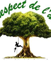 Au Respect De L'arbre image 6