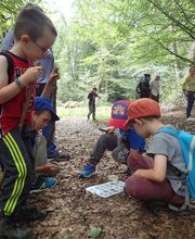 Maison Pêche Et Nature Des Côtes D'armor image 1