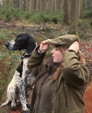 Jagdhundeausbildung Sommer Bild 2