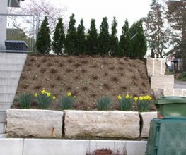 Hatt Gartenbau Bild 7