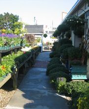 Pemberton Farms Marketplace image 3
