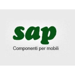 Sap Srl logo