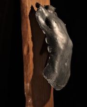 Carlos Lorenzo Hidalgo imagen 2