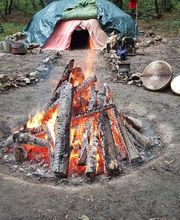 Rites des Bois image 6