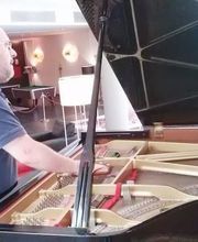 Afinador de Pianos E. Ferrer imagen 3