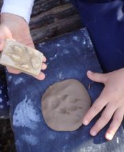 Au Pays des Traces image 7